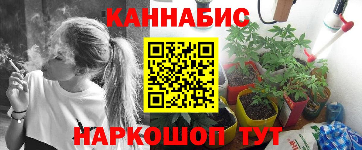 Шишки марихуана марихуана Серов